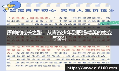 原帅的成长之路：从青涩少年到职场精英的蜕变与奋斗